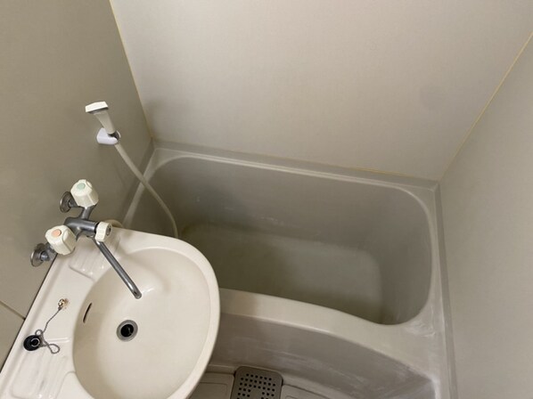 ラフィーヌ上野田の物件内観写真